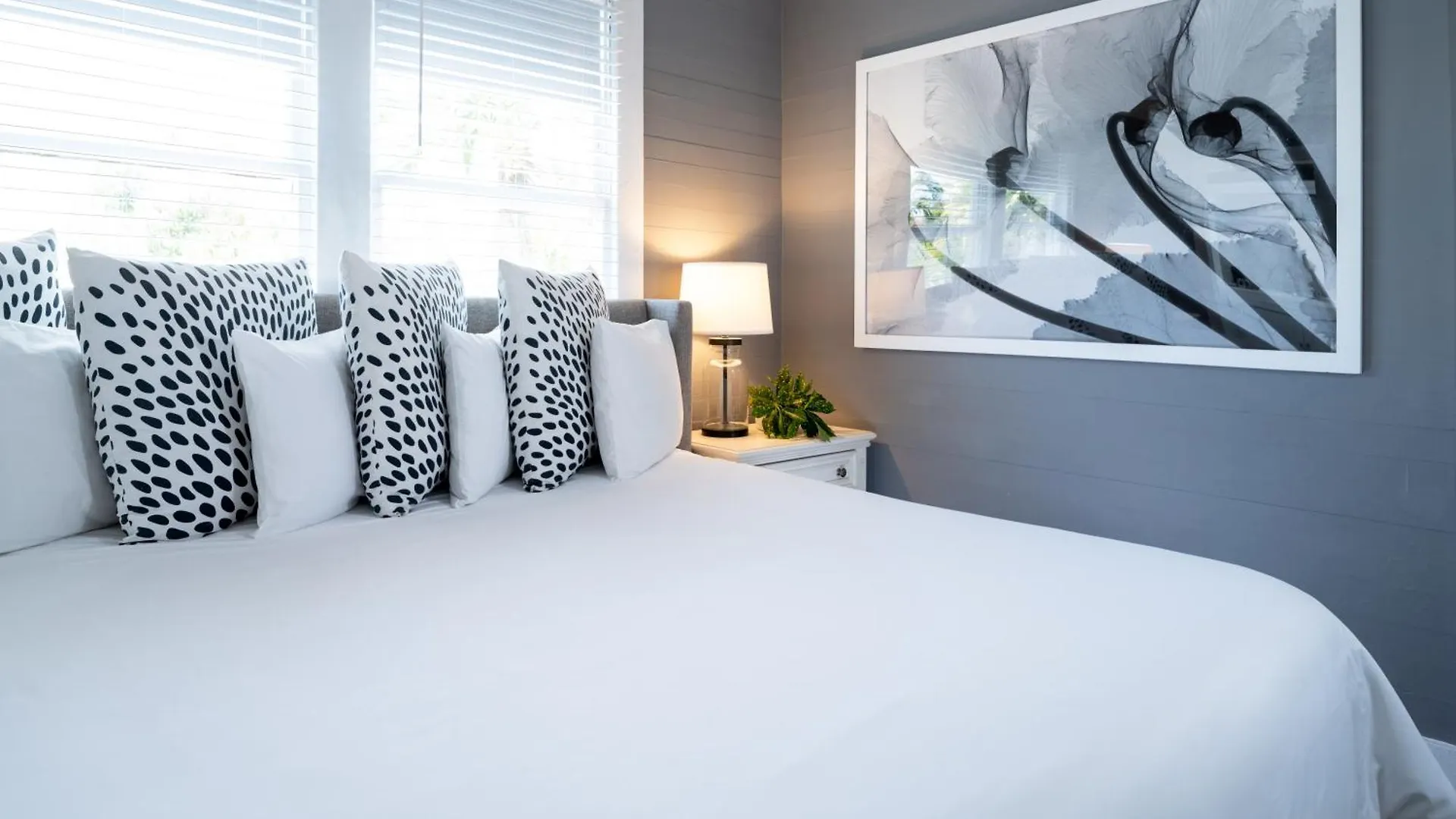 Bed & Breakfast Alexander'S Guesthouse-Adult Exclusive, Lgbtq Friendly Key West